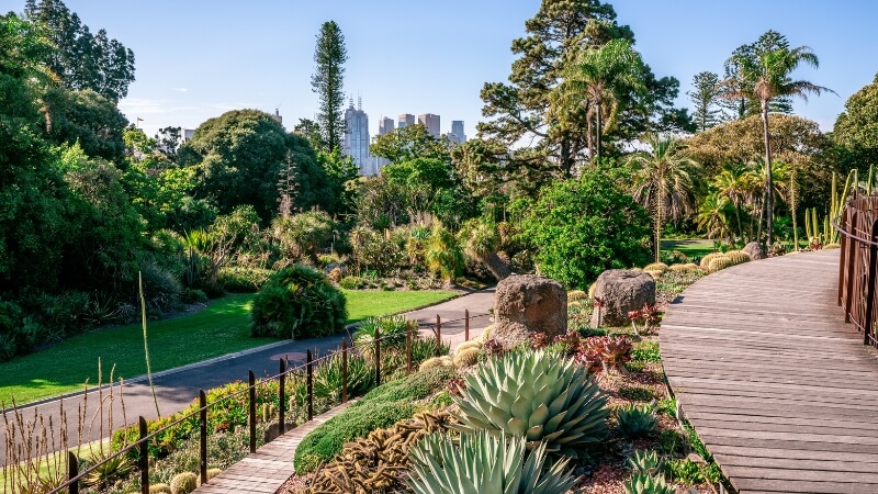 Khung cảnh Vườn bách thảo Hoàng gia tại Melbourne