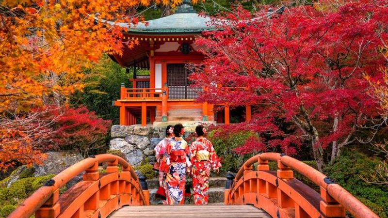 Du lịch Osaka mùa thu lá đỏ, lá vàng