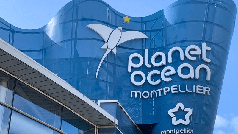 Xứ sở thủy cung Planet Ocean Montpellier tại Pháp