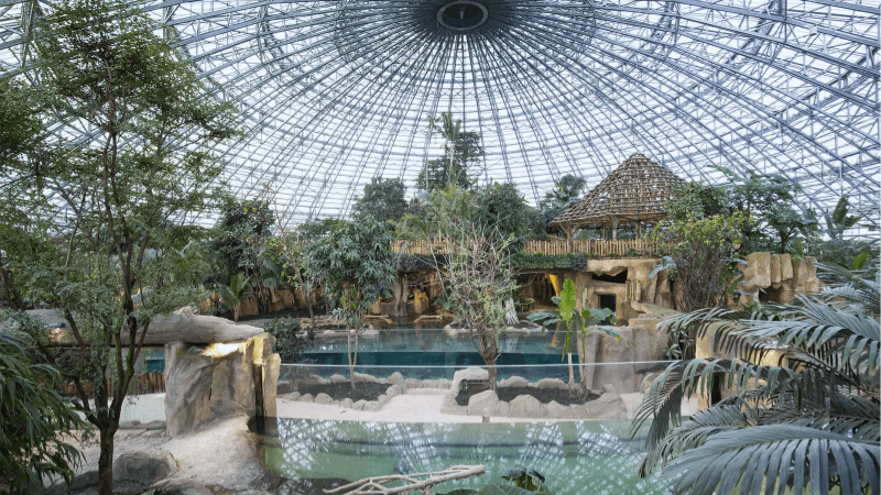 ZooParc de Beauval mang đến những cảnh quan hoang sơ nhất