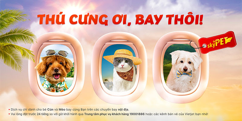 Vietjet Air: Bay c&ugrave;ng th&uacute; cưng với dịch vụ Sky Pet