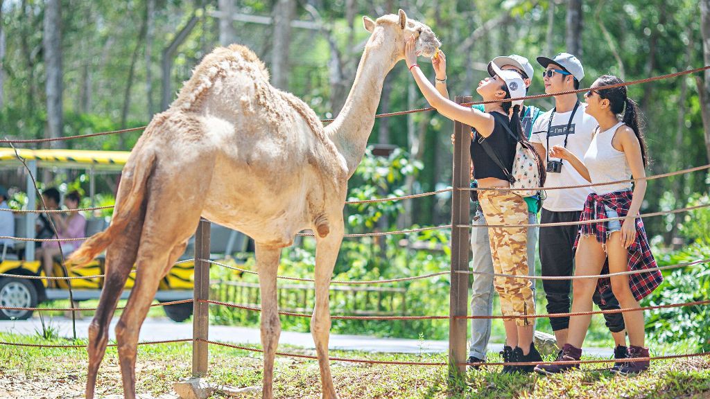Gặp gỡ muôn loài thú quý hiếm tại Safari Phú Quốc