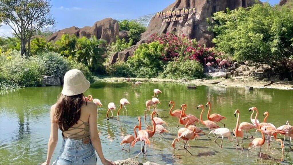 Check in Hồ Hồng Hạc tại VinWonders Nha Trang
