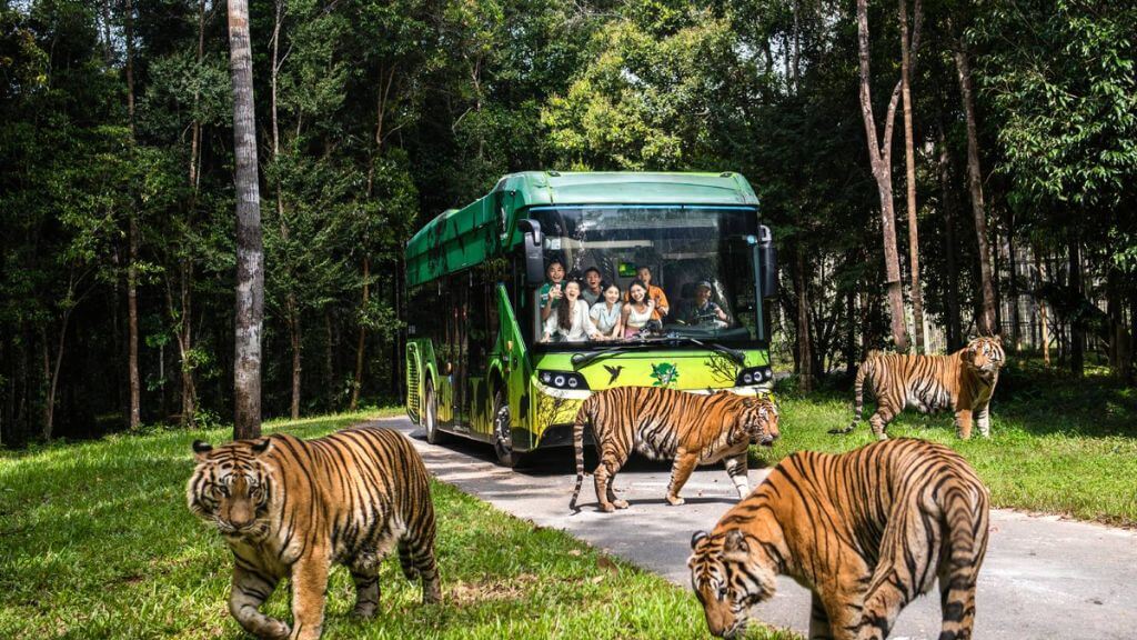 Trải nghiệm  nhốt người thả thú  tại Vinpearl Safari Phu Quoc