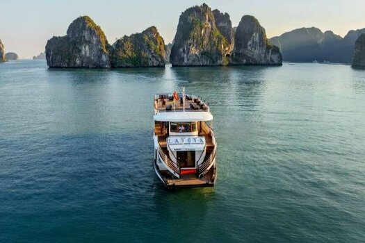 Lavoya Boutique Day Cruise