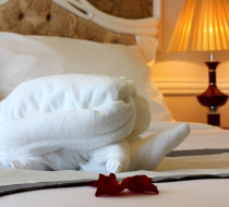 Phòng Junior Suite  Double