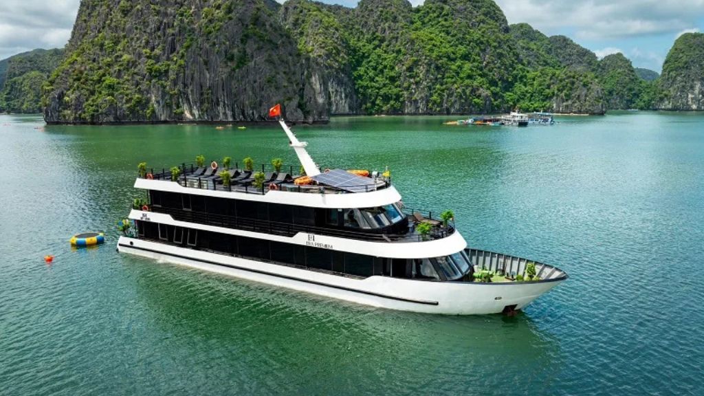 Review Venus Cruise