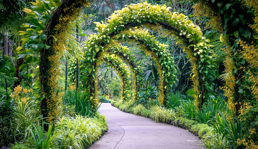 Vườn lan quốc gia Singapore tại Botanic Garden