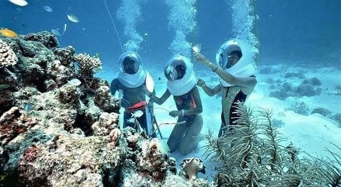 Lặn biển ngắm san hô là hoạt động được yêu thích nhất ở Coral Island