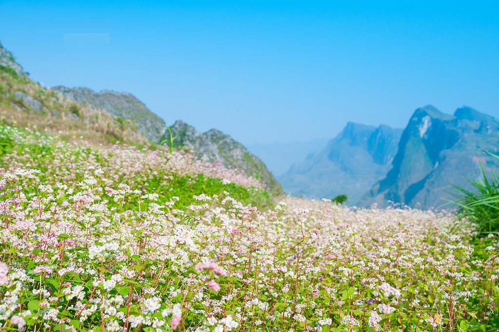 Hà Giang