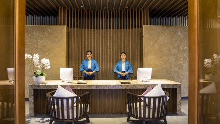 Reception Alba Wellness Resort Fusion