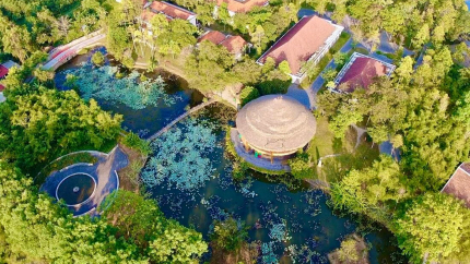 Overview