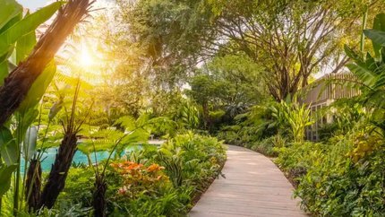 Không gian tràn ngập cây xanh tại An Lâm Retreat Saigon River