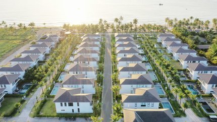 Không gian xanh ngập nắng