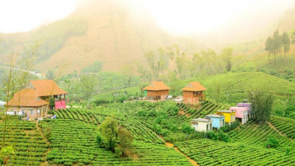 Toàn cảnh Arena Village resort Mộc Châu