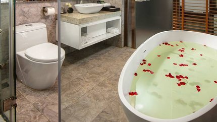 Phòng tắm đứng và bồn tắm