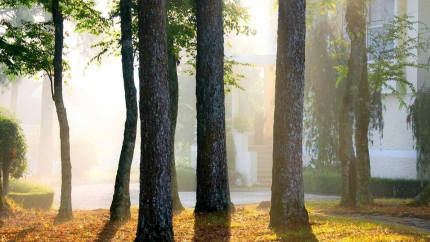 Khuôn Viên Cadasa Resort Đà Lạt