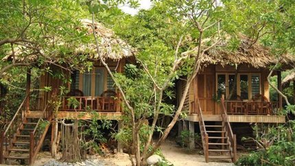 Phòng Hướng Vườn