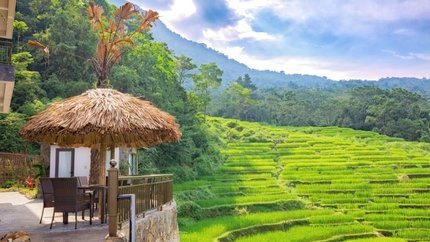 Tầm nhìn toàn cảnh ruộng bậc thang