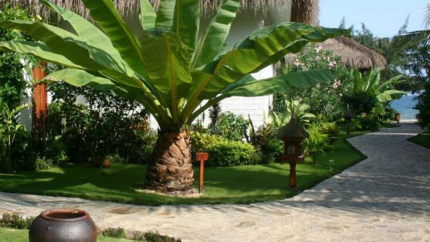 Sân vườn Chàm Villas Resort Phan Thiết