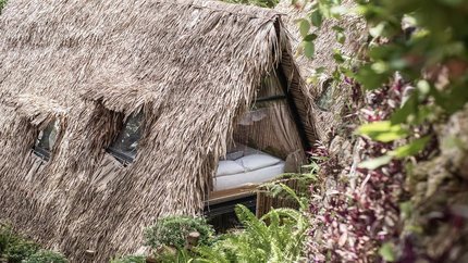 Nhà Sàn tập thể