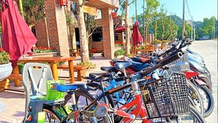 Dịch vụ cho thuê xe