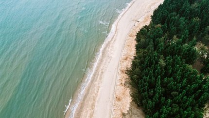 Bãi biển Đầu Rồng