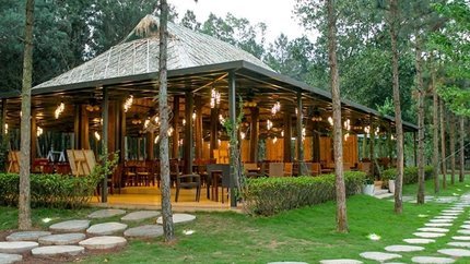 Khu vực The Beach Bar tại Resort 5*.
