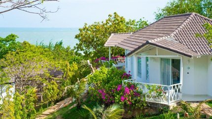 Khung cảnh nhiều cây xanh bên ngoài villa