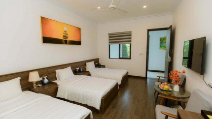 Phòng Triple Garden