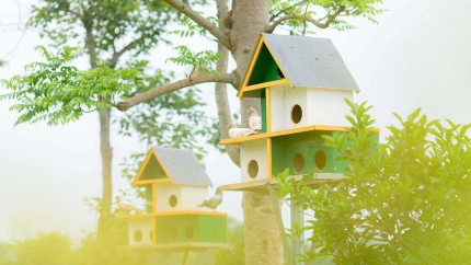 Ngoại Cảnh Resort