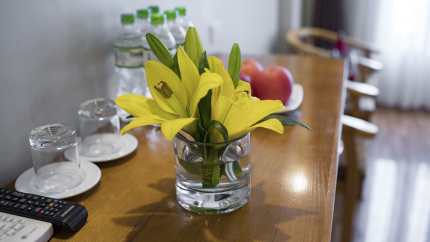 Golden Town SaPa Hotel