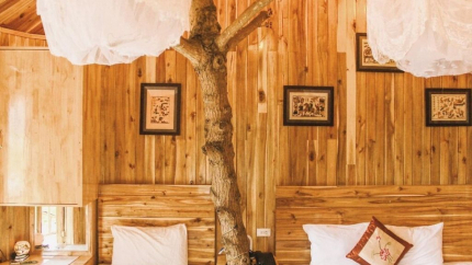 Treehouses Hang Mua Ecolodge