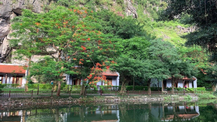 Dãy Phòng Deluxe Tại Khu Nghỉ Dưỡng Hang Mua Ecolodge