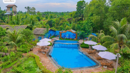 Hồ bơi