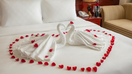 Phòng VIP Hoa Đào Hotel 3*