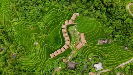 Bao quanh Hoang Su Phi Lodge là những thuở ruộng bậc thang