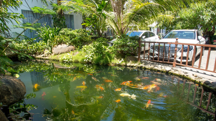 Hồ cá Hoi An Reverie Villas 3*