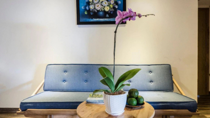 Phòng Family Studio Apartment Tại Khách Sạn John Boutique Villa Đà Nẵng