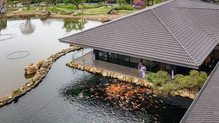 Hồ cá Koi Nhật Bản