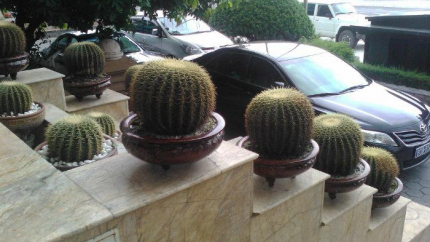 Tiền Sảnh Của Khách Sạn