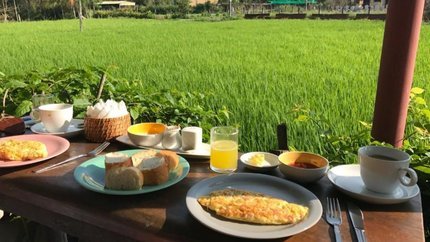 Không gian ăn sáng thân thiện với thiên nhiên