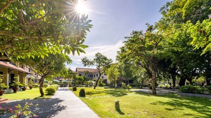 Khuôn viên khách sạn ngập tràn cây xanh
