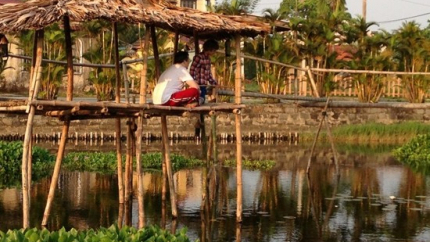 Câu cá giải trí