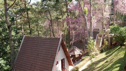 Quang cảnh của Minh Tâm Hotel 3 sao