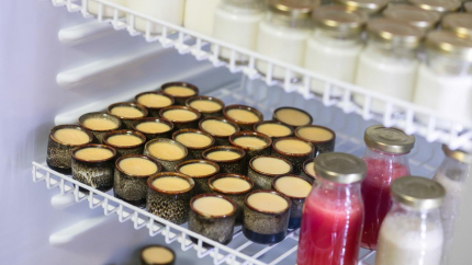 Buffet sáng Sapa Horizon Hotel