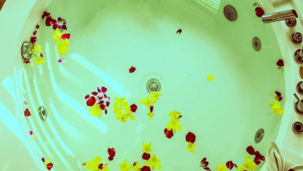 Bồn tắm President