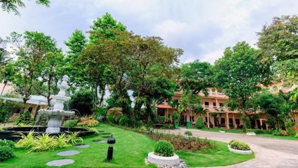 Khung cảnh vườn xanh sạch đẹp