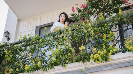 Villa 16 phòng ngủ