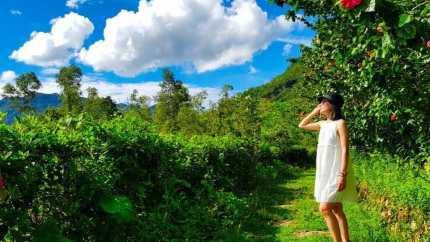 Quang cảnh Mai Châu Ecolodge